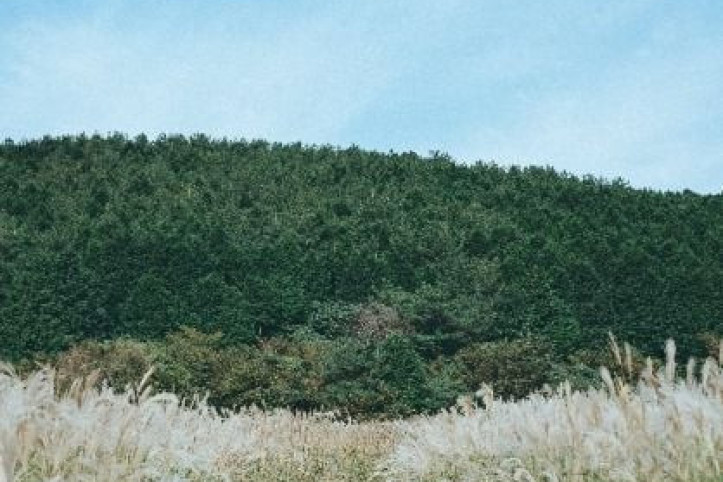 큰사슴이오름 여행 추천 - 메고지고