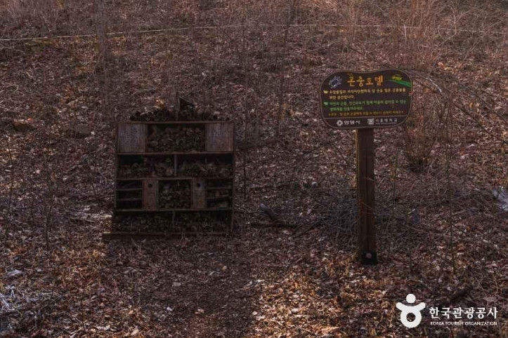 안양수목원 여행 추천 - 메고지고