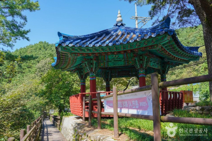 육모정 여행 추천 - 메고지고