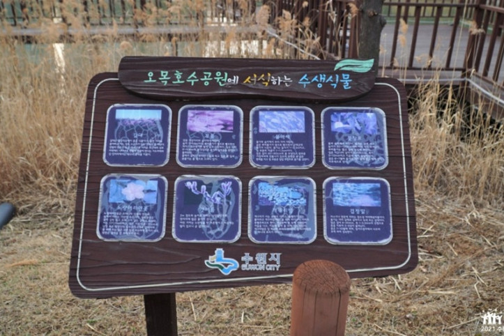 오목호수공원 여행 추천 - 메고지고