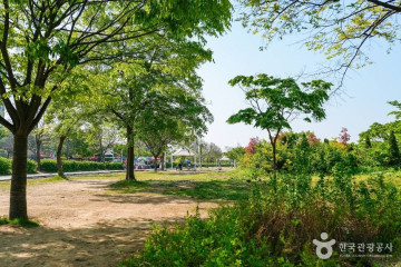 물빛광장 여행 추천 - 메고지고