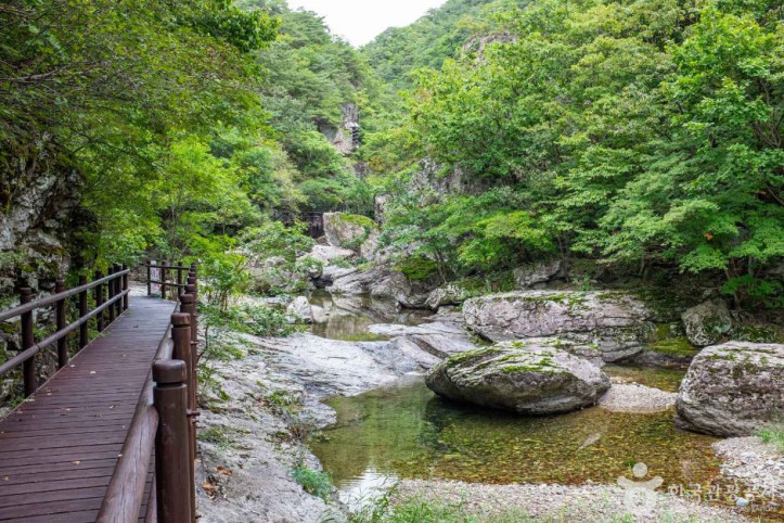 절골협곡 (청송 국가지질공원) 여행 추천 - 메고지고