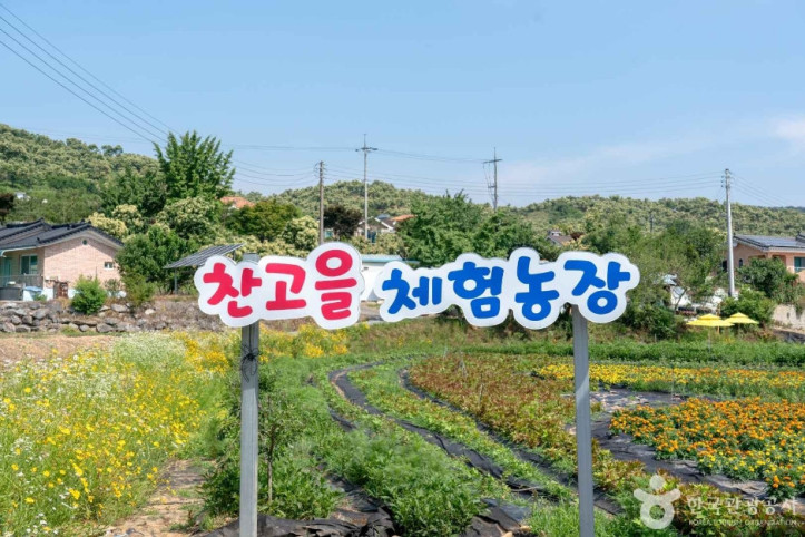 꽃이 머무는 자리 여행 추천 - 메고지고