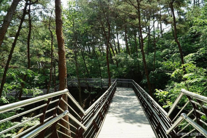 백화산(태안) 여행 추천 - 메고지고