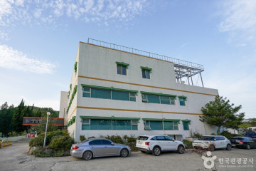 운제산 여행 추천 - 메고지고