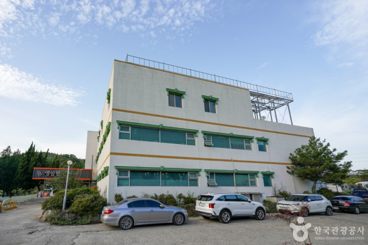 영일만온천 여행 추천 - 메고지고