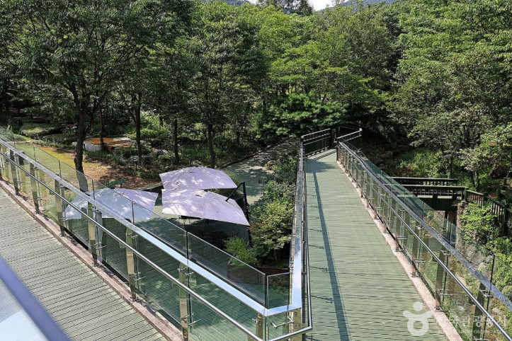 신구대학교식물원 여행 추천 - 메고지고