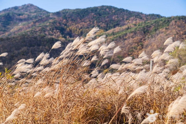 북벽 여행 추천 - 메고지고