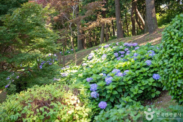 구덕문화공원 여행 추천 - 메고지고