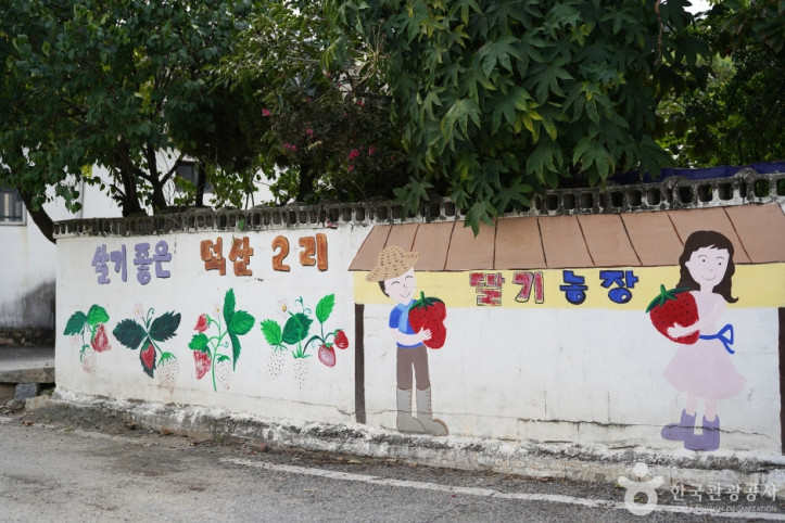 널위한딸기농장 여행 추천 - 메고지고
