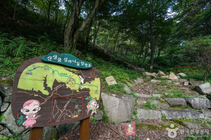 산삼 자연휴양림 여행 추천 - 메고지고