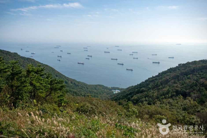 봉래산(부산) 여행 추천 - 메고지고