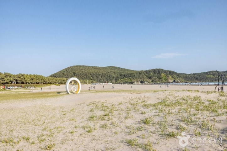 다대포해수욕장 여행 추천 - 메고지고