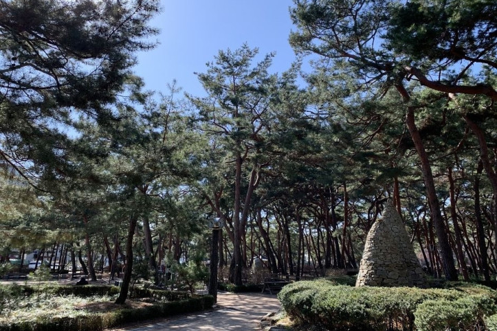 솔밭근린공원 여행 추천 - 메고지고