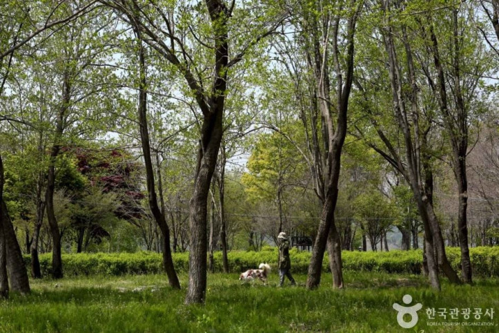 수풀로 양수리 여행 추천 - 메고지고