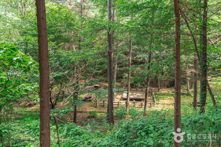 문수산산림욕장 여행 추천 - 메고지고