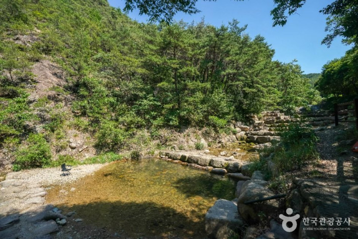 화원자연휴양림 여행 추천 - 메고지고