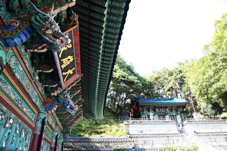 마하사(부산) 여행 추천 - 메고지고