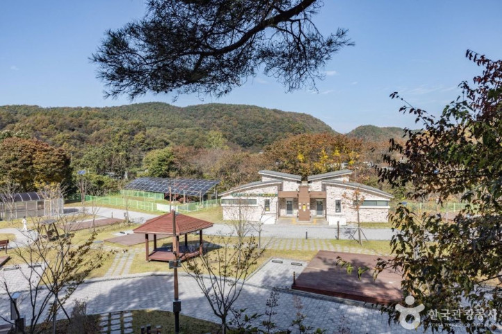 옥화자연휴양림 여행 추천 - 메고지고