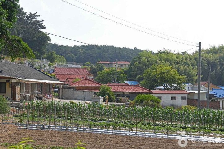 황새마을(서천) 여행 추천 - 메고지고