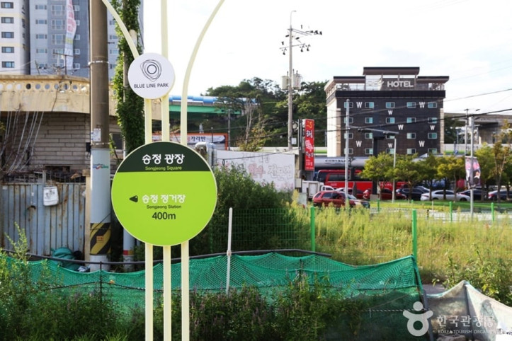 해운대 관광특구 여행 추천 - 메고지고
