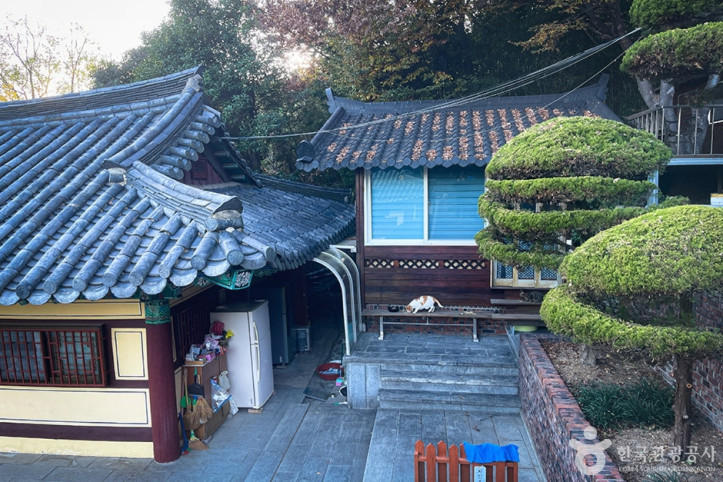 금용사(대구) 여행 추천 - 메고지고