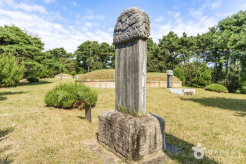 공룡테마공원 (다이노 키즈월드) 여행 추천 - 메고지고