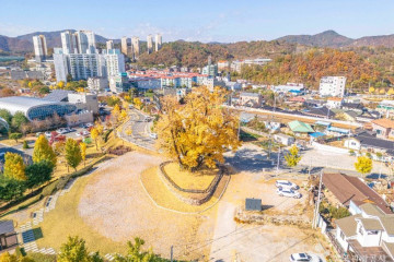 동강둔치공원 여행 추천 - 메고지고