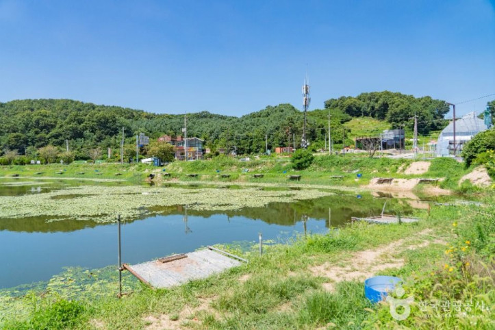 어천저수지 여행 추천 - 메고지고