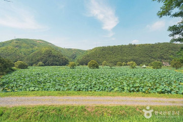 외고산 옹기마을 여행 추천 - 메고지고
