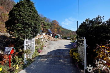 충주 지당리 석조여래입상 여행 추천 - 메고지고