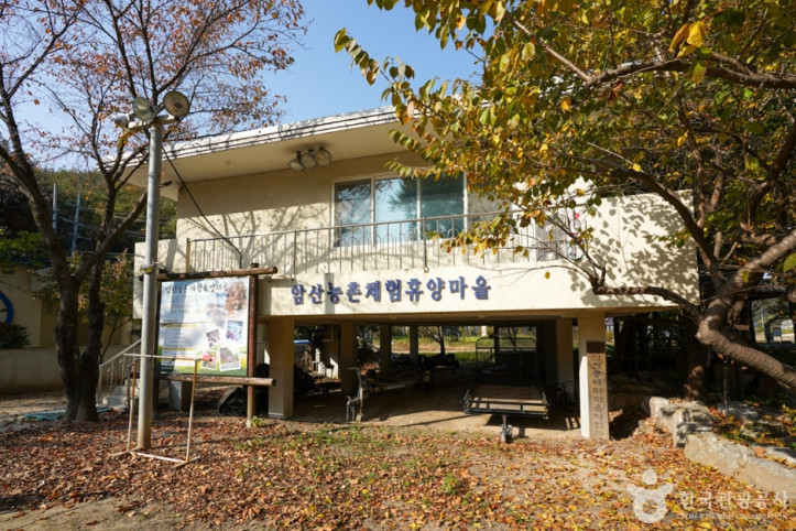 암산유원지 여행 추천 - 메고지고