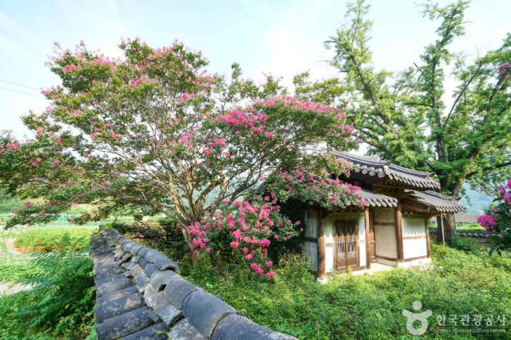 의양서원 여행 추천 - 메고지고