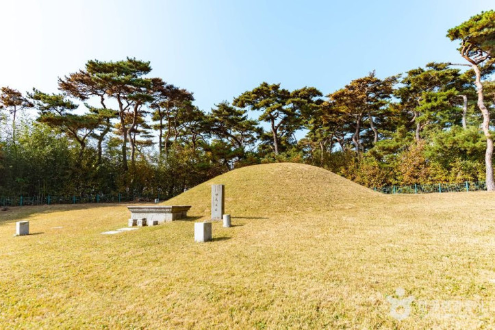 경주 신무왕릉 여행 추천 - 메고지고