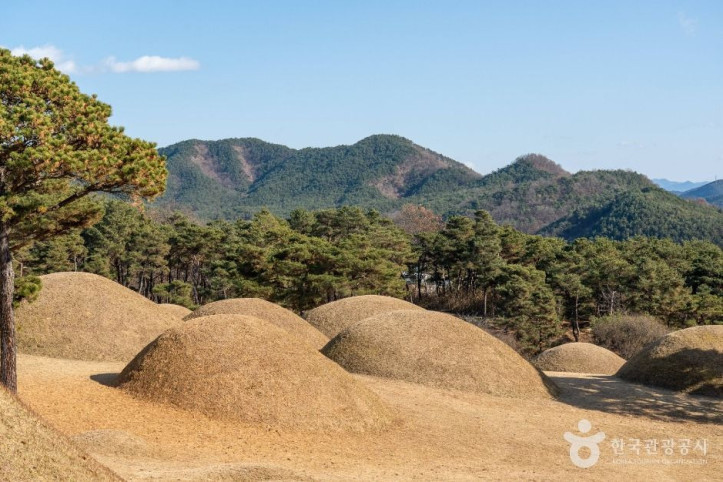 합천 옥전 고분군 여행 추천 - 메고지고