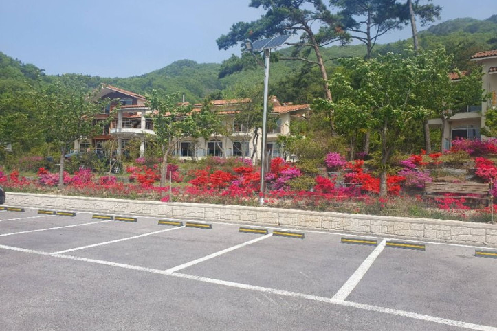 변산자연휴양림 여행 추천 - 메고지고