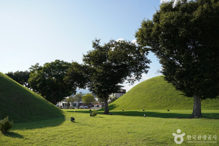 쪽샘지구 여행 추천 - 메고지고