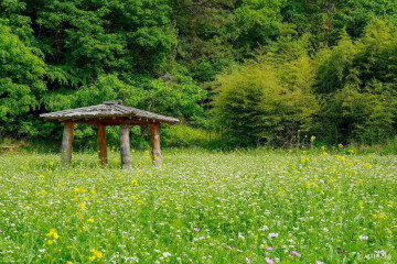이순신공원 여행 추천 - 메고지고