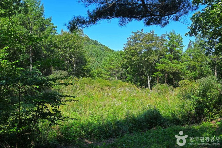 고마루 카르스트 여행 추천 - 메고지고