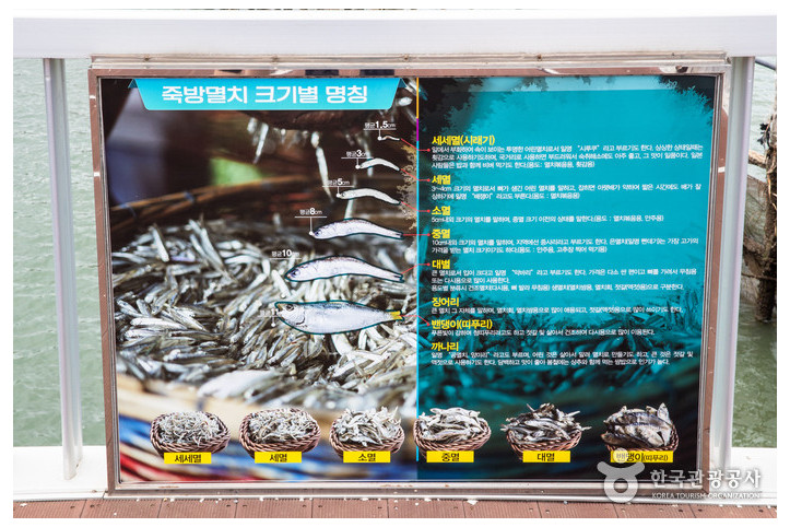 창선교와 원시어업 죽방렴 여행 추천 - 메고지고