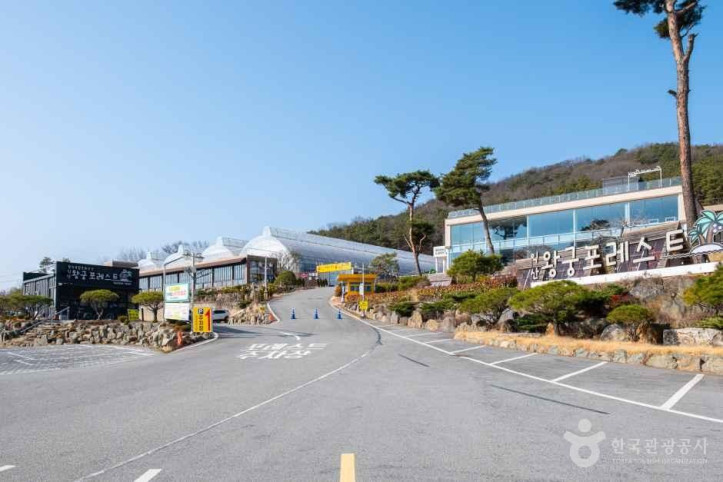 왕궁 포레스트 여행 추천 - 메고지고