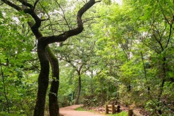 꿩고개공원 여행 추천 - 메고지고