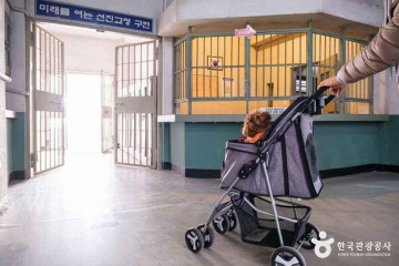 남궁찬묘석상 여행 추천 - 메고지고