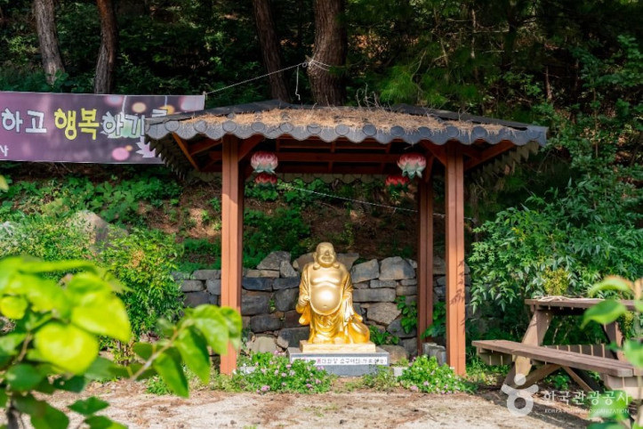 청안사(세종) 여행 추천 - 메고지고
