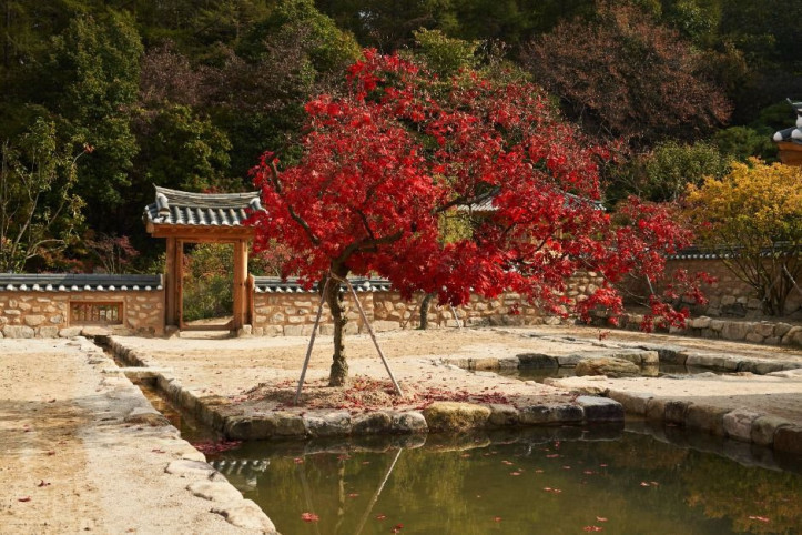 메덩골정원 여행 추천 - 메고지고