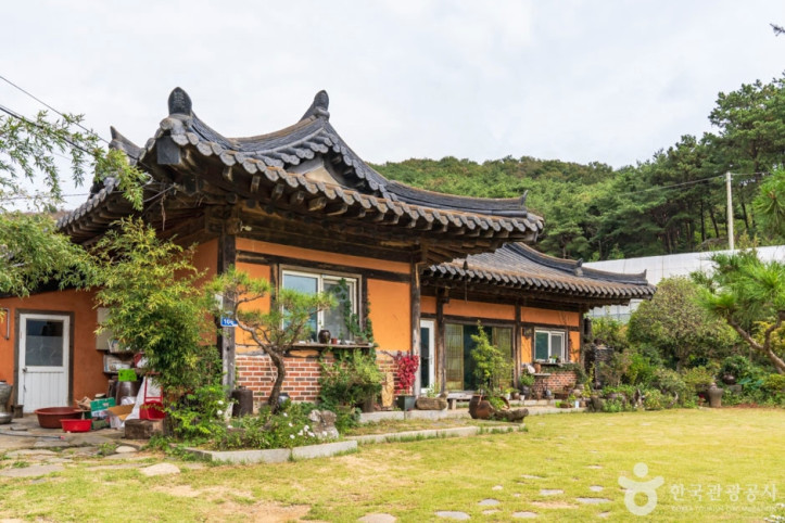 평강뜰애 여행 추천 - 메고지고