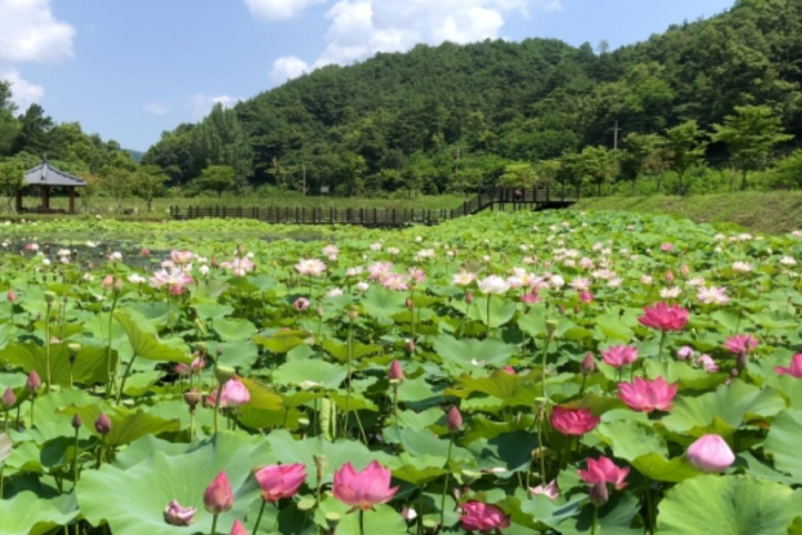지산지(옥련생태공원) 여행 추천 - 메고지고