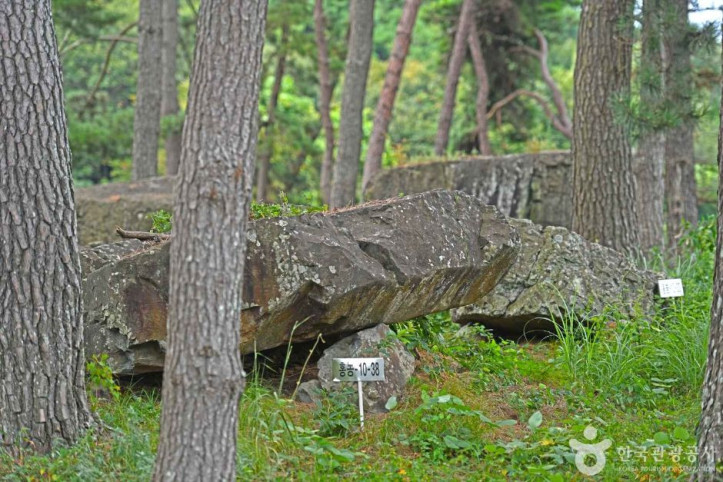 영광 성산리 지석묘군 여행 추천 - 메고지고