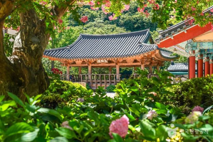 오어사(포항) 여행 추천 - 메고지고