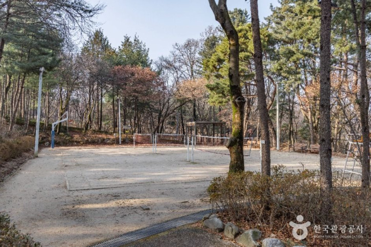 대모산도시자연공원 여행 추천 - 메고지고